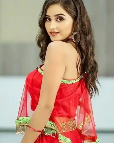 Call Girls Service Vastrapur